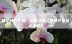 辅助开挂工具“微乐麻将必赢开挂神器”详细开挂