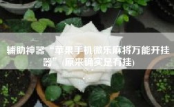 辅助神器“苹果手机微乐麻将万能开挂器”(原来确实是有挂)