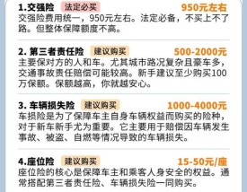 如何购买车险最合理(购买车险的技巧)