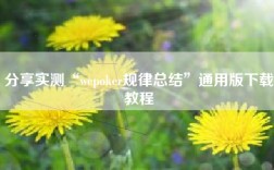 分享实测“wepoker规律总结”通用版下载教程