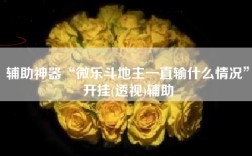 辅助神器“微乐斗地主一直输什么情况”开挂(透视)辅助