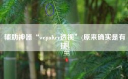 辅助神器“wepoKer透视”(原来确实是有挂)