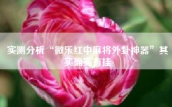 实测分析“微乐红中麻将外卦神器”其实确实有挂