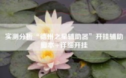 实测分析“德州之星辅助器”开挂辅助脚本+详细开挂