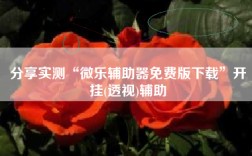 分享实测“微乐辅助器免费版下载”开挂(透视)辅助