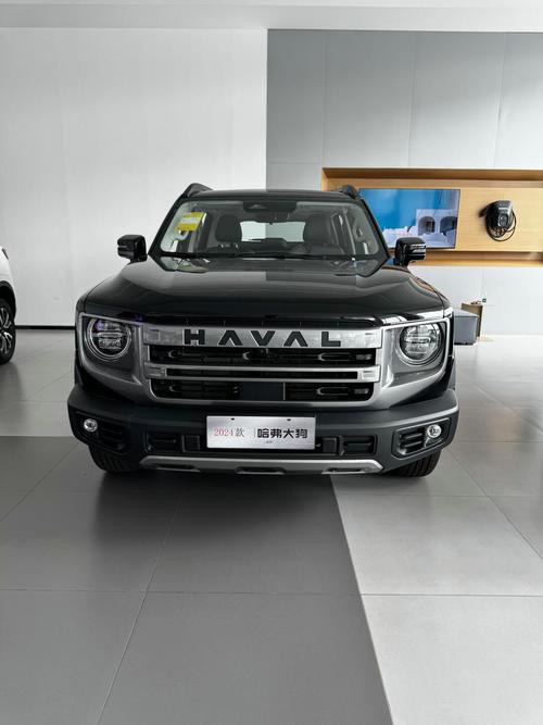 哈弗大狗落地价/哈弗大狗落地价是多少