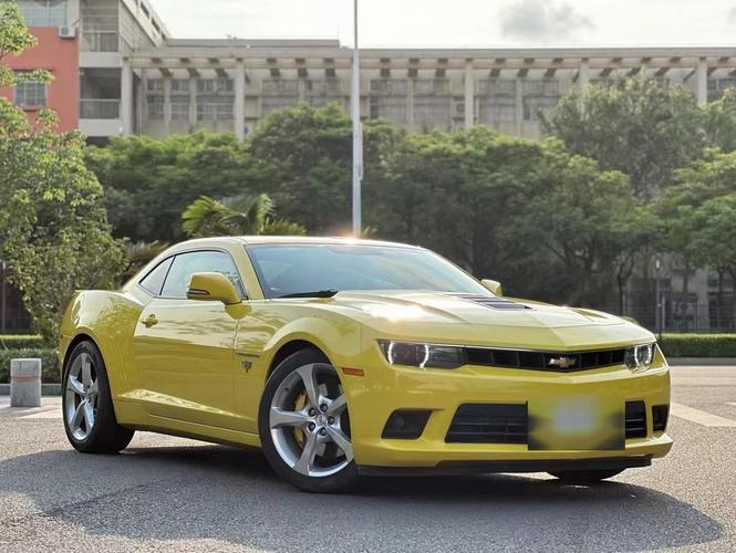 雪佛兰大黄蜂汽车价格/雪佛兰大黄蜂版多少钱