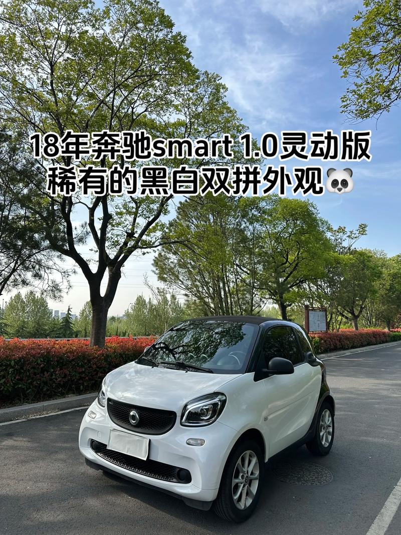 奔驰smart油车,奔驰smart油车一年养车多少钱