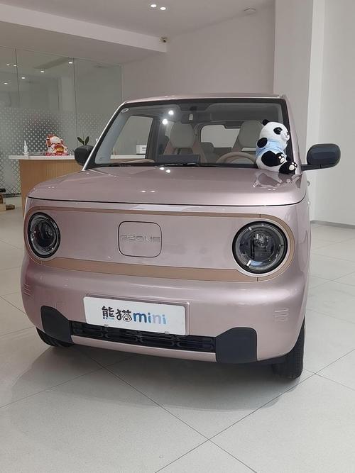 吉利熊猫纯电动汽车 吉利熊猫纯电动汽车怎么能跑到100码