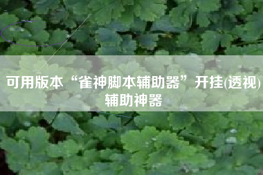 可用版本“雀神脚本辅助器”开挂(透视)辅助神器