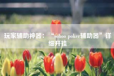 玩家辅助神器：“sohoo poker辅助器”详细开挂