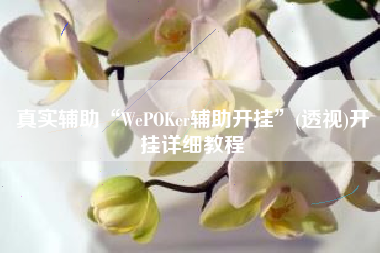真实辅助“WePOKer辅助开挂	”(透视)开挂详细教程