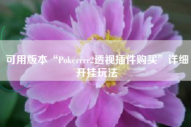 可用版本“Pokerrrr2透视插件购买”详细开挂玩法