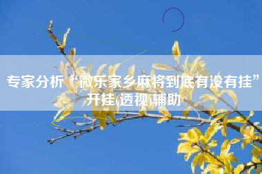 专家分析“微乐家乡麻将到底有没有挂”开挂(透视)辅助