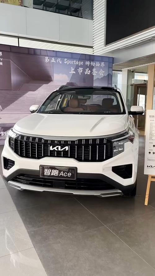 起亚有什么车型/起亚有啥车