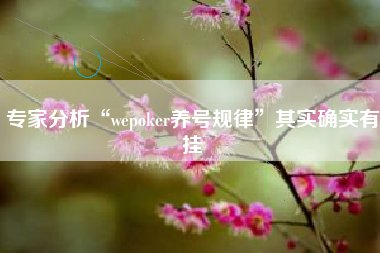 专家分析“wepoker养号规律”其实确实有挂