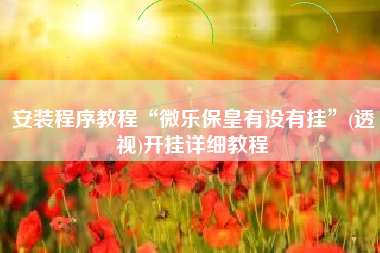 安装程序教程“微乐保皇有没有挂	”(透视)开挂详细教程