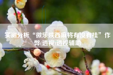 实测分析“微乐陕西麻将有没有挂	”作弊(透视)透视辅助