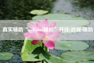 真实辅助“wePoker辅助”开挂(透视)辅助