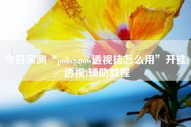今日实测“pokernow透视挂怎么用”开挂(透视)辅助教程