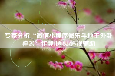 专家分析“微信小程序微乐斗地主外卦神器”作弊(透视)透视辅助