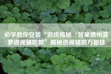必学教你安装“游戏揭秘‘智星德州菠萝透视辅助教”揭秘透视辅助万能挂