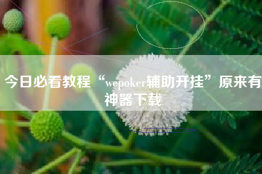 今日必看教程“wepoker辅助开挂”原来有神器下载