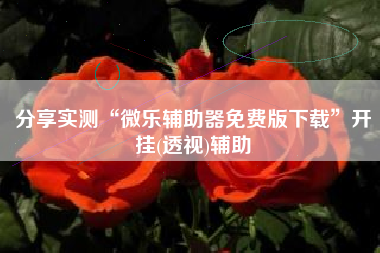 分享实测“微乐辅助器免费版下载”开挂(透视)辅助