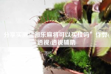 分享实测“微乐麻将可以买挂吗”作弊(透视)透视辅助