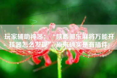 玩家辅助神器：“陕西微乐麻将万能开挂器怎么发现”(原来确实是有插件)