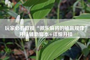 玩家必看教程“微乐麻将的输赢规律	”开挂辅助脚本+详细开挂