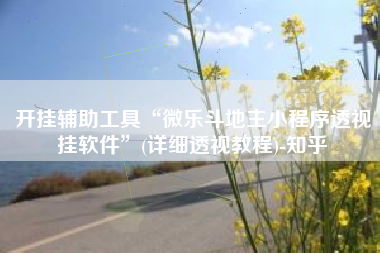 开挂辅助工具“微乐斗地主小程序透视挂软件”(详细透视教程)-知乎