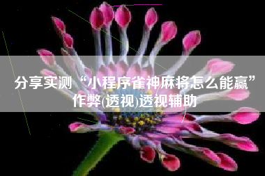 分享实测“小程序雀神麻将怎么能赢”作弊(透视)透视辅助