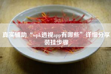 真实辅助“wpk透视app有哪些	”详细分享装挂步骤