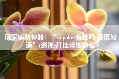 玩家辅助神器：“wepoker有挂吗 百度知道”(透视)开挂详细教程