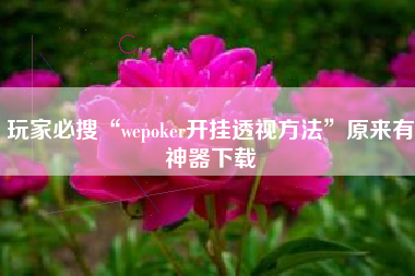 玩家必搜“wepoker开挂透视方法	”原来有神器下载