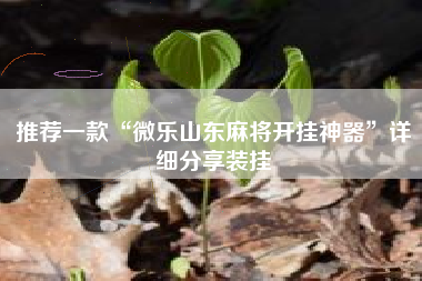 推荐一款“微乐山东麻将开挂神器	”详细分享装挂
