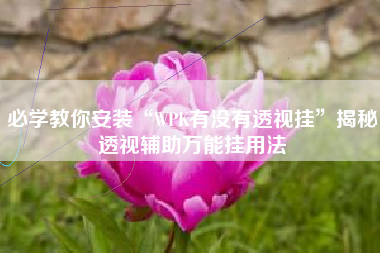 必学教你安装“WPK有没有透视挂”揭秘透视辅助万能挂用法
