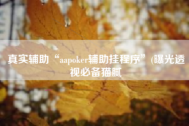 真实辅助“aapoker辅助挂程序”(曝光透视必备猫腻