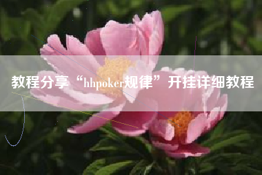 教程分享“hhpoker规律”开挂详细教程 教程分享“hhpoker规律”开挂详细教程