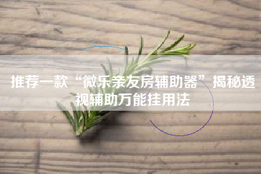 推荐一款“微乐亲友房辅助器”揭秘透视辅助万能挂用法