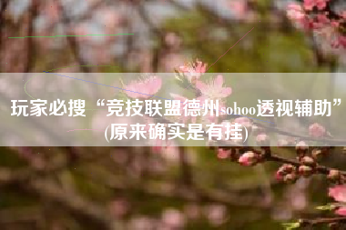 玩家必搜“竞技联盟德州sohoo透视辅助”(原来确实是有挂)