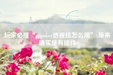 玩家必搜“appoker透视挂怎么用	”(原来确实是有插件