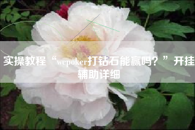 实操教程“wepoker打钻石能赢吗？”开挂辅助详细