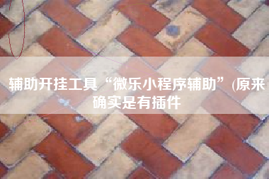 辅助开挂工具“微乐小程序辅助	”(原来确实是有插件