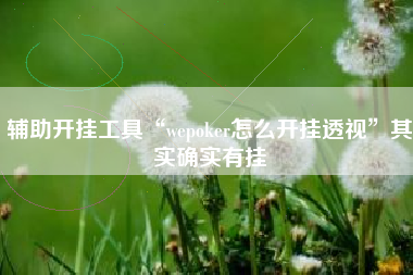 辅助开挂工具“wepoker怎么开挂透视	”其实确实有挂