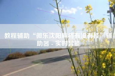 教程辅助“微乐沈阳麻将有没有挂	”辅助器 - 实时智能