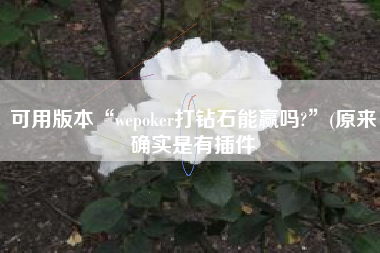 可用版本“wepoker打钻石能赢吗?	”(原来确实是有插件
