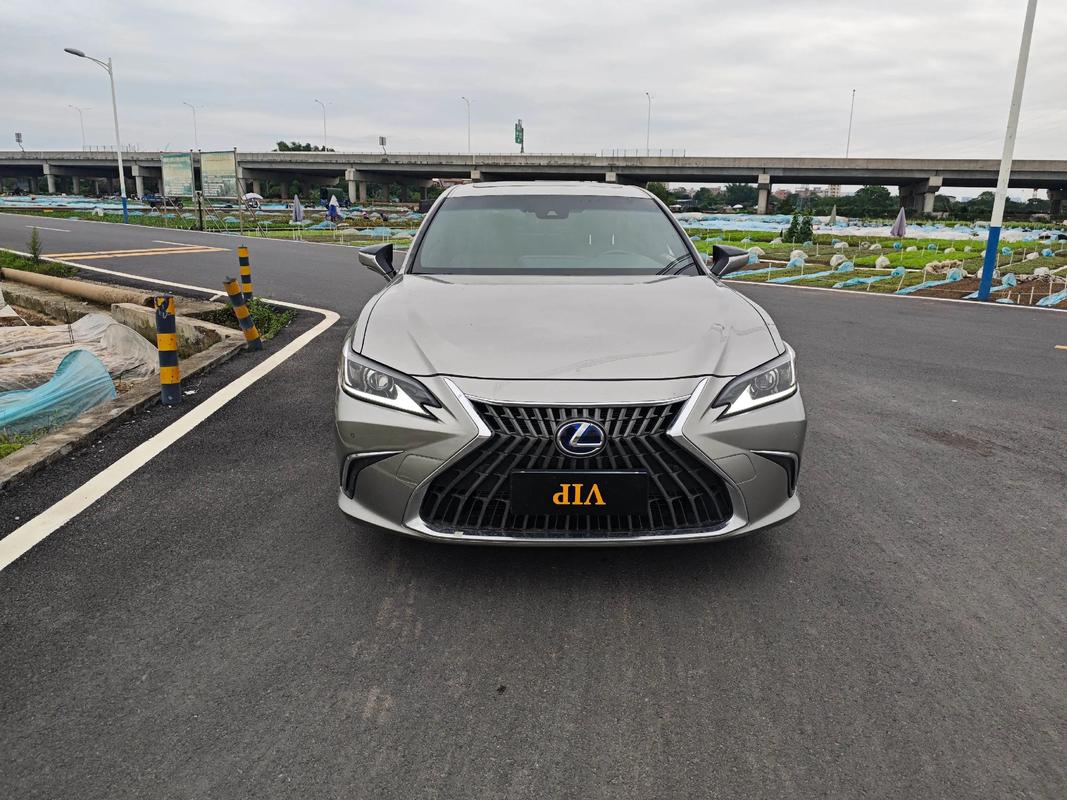 【2022年雷克萨斯新车上市车型,2022年雷克萨斯新车上市车型图片】